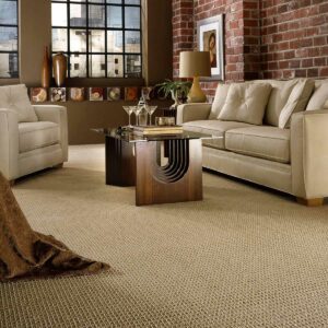 Living room Carpet flooring | CarpetsPlus Design Showroom of Hutchinson 