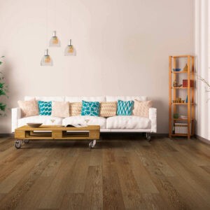 Vinyl flooring for living room | CarpetsPlus Design Showroom of Hutchinson 